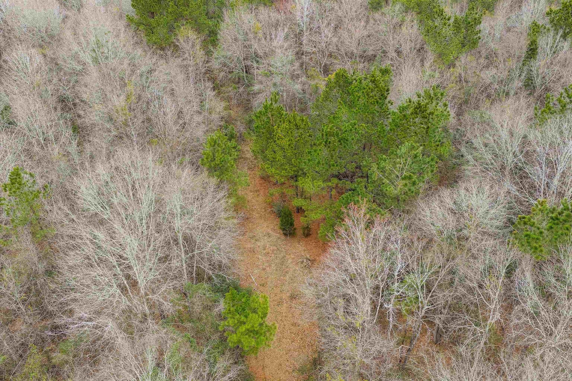 28.82 acres in Shelby County - photo 5