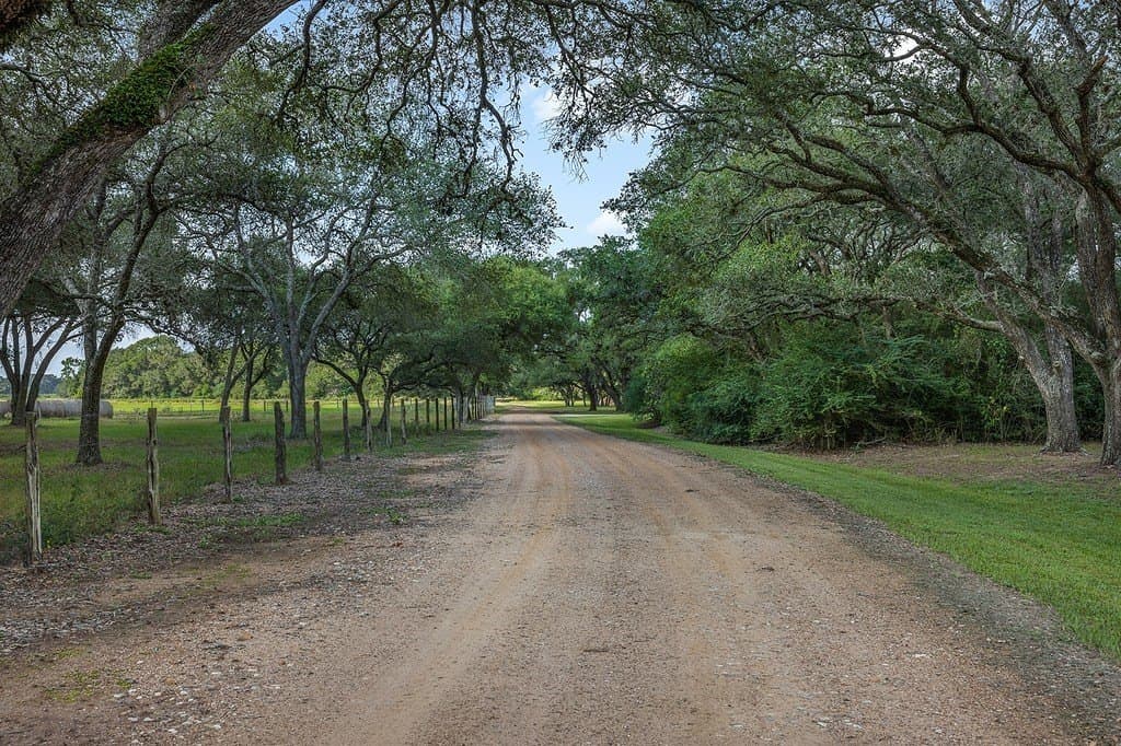244.55 acres in Colorado County - photo 7