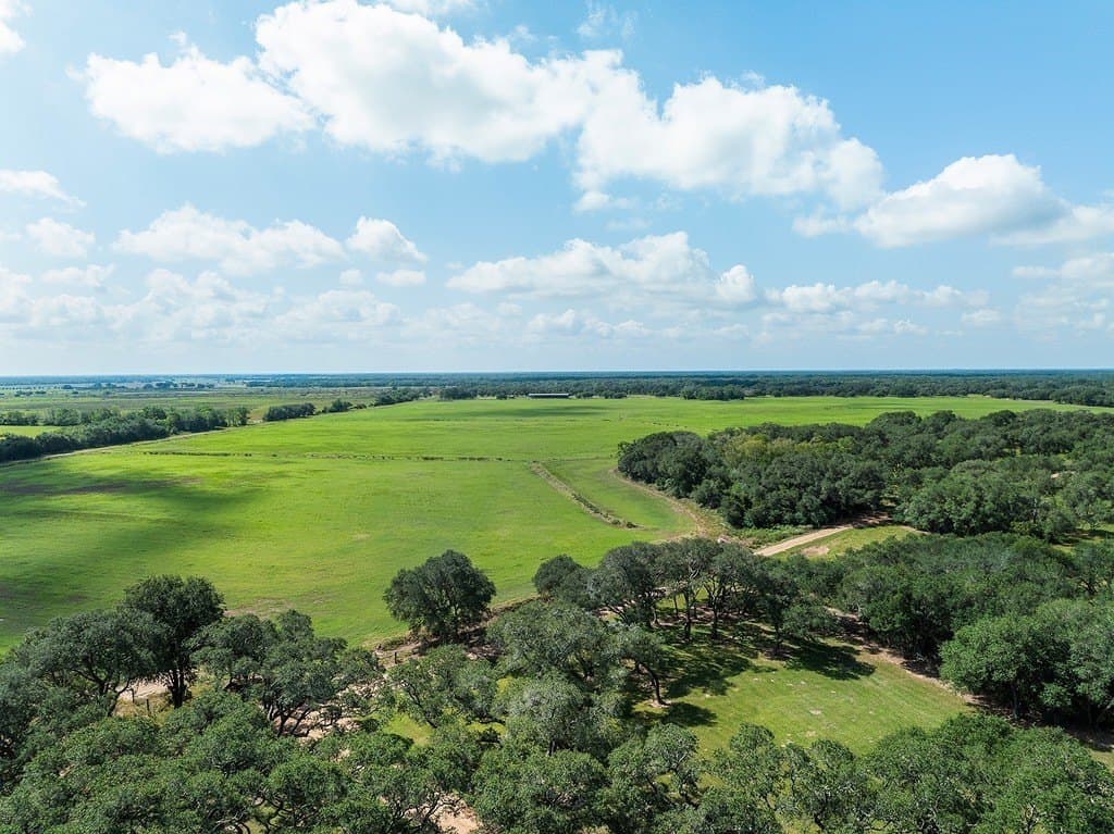 244.55 acres in Colorado County - photo 27