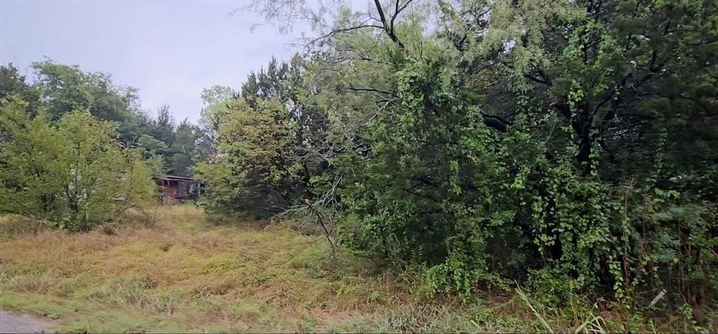 0.11 acres in Hood County - photo 3