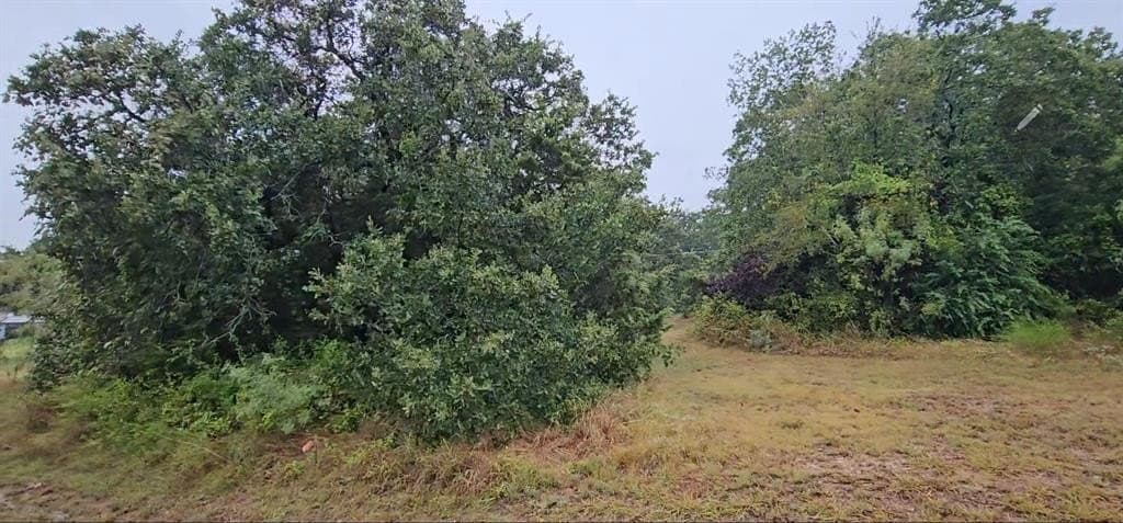 0.11 acres in Hood County - photo 2