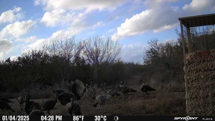 10.38 acres in Live Oak County - photo 22