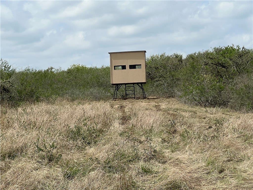 10.38 acres in Live Oak County - photo 2