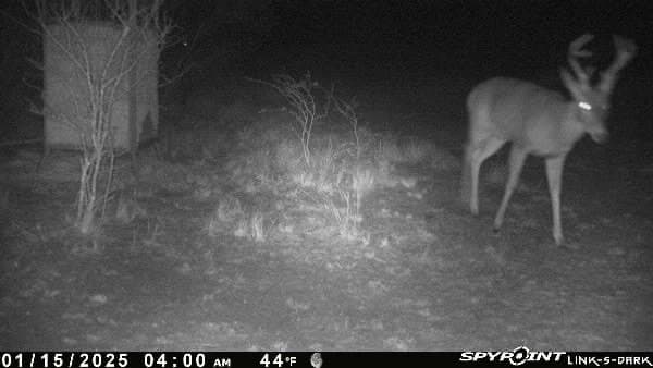 10.38 acres in Live Oak County - photo 16