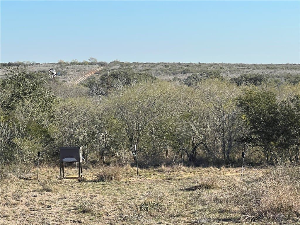 10.38 acres in Live Oak County - photo 9