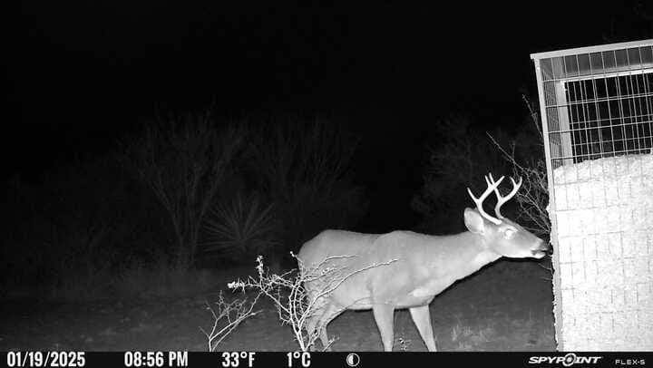 10.38 acres in Live Oak County - photo 15
