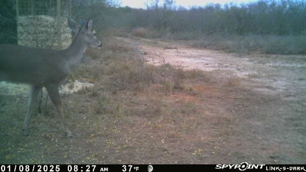 10.38 acres in Live Oak County - photo 21