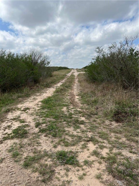 10.38 acres in Live Oak County - photo 5