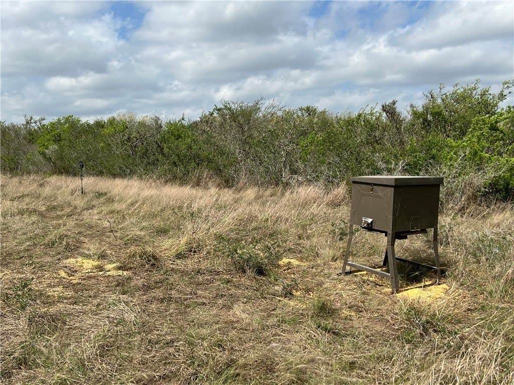10.38 acres in Live Oak County - photo 3