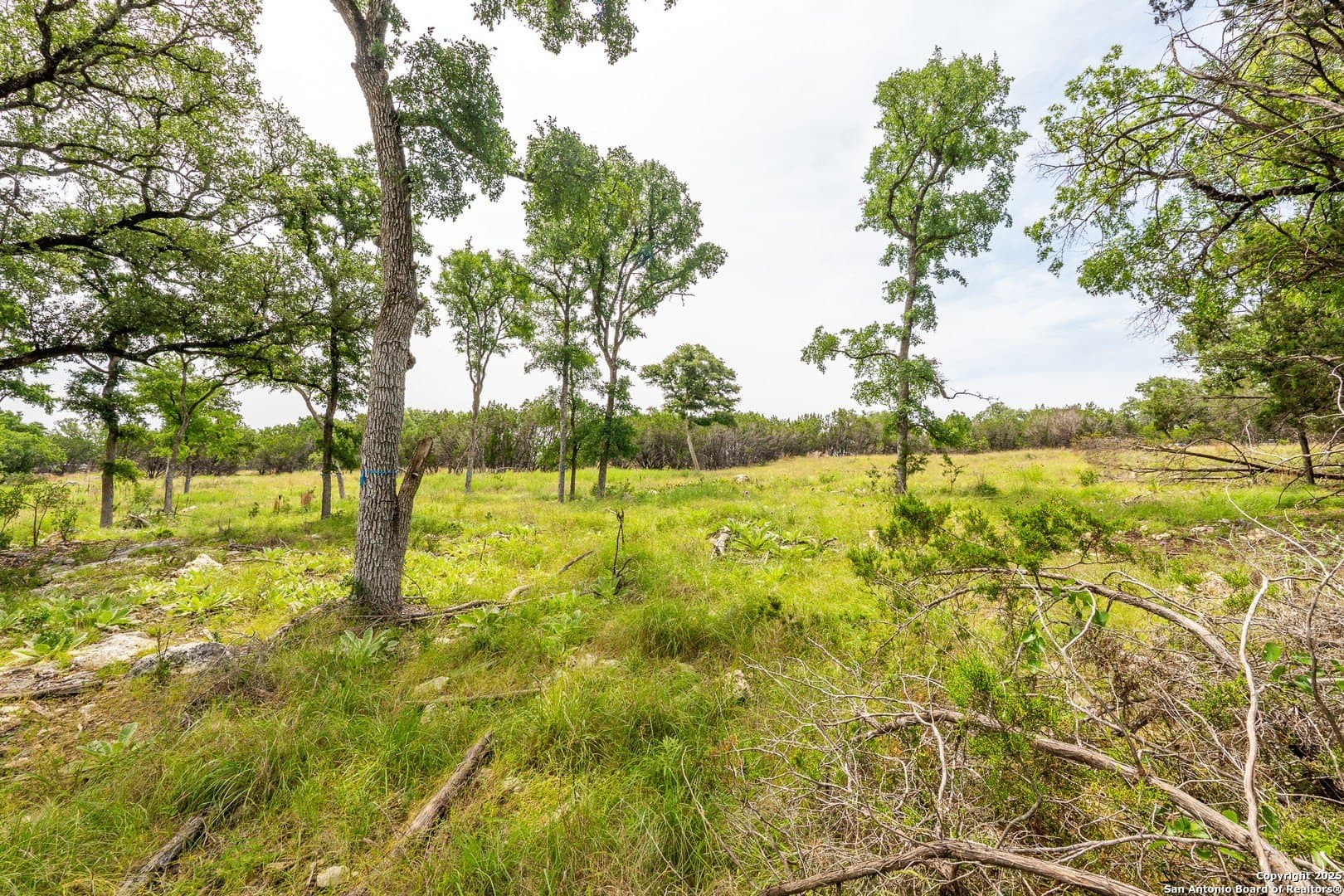 1.77 acres in Kendall County - photo 5