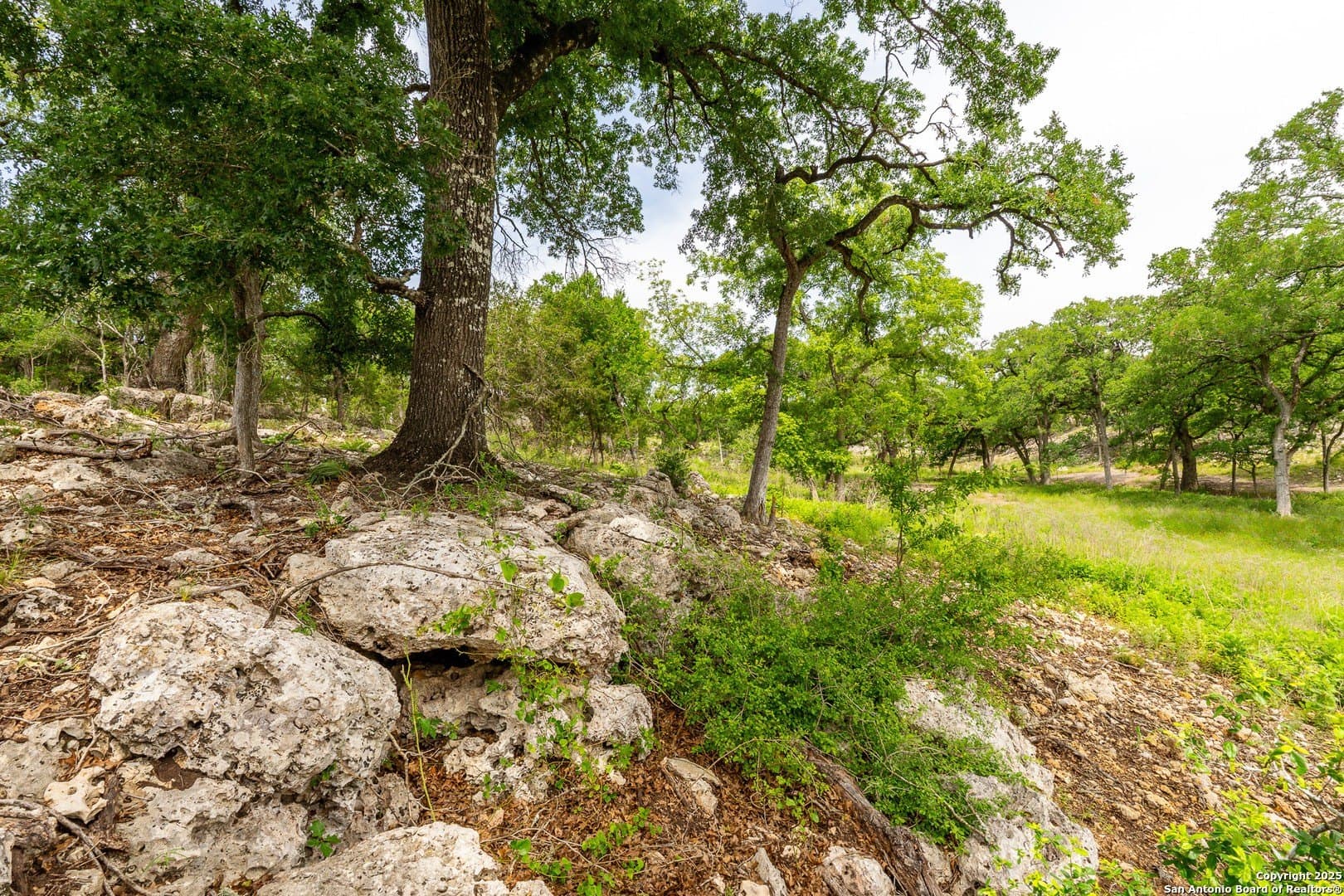1.77 acres in Kendall County - photo 4