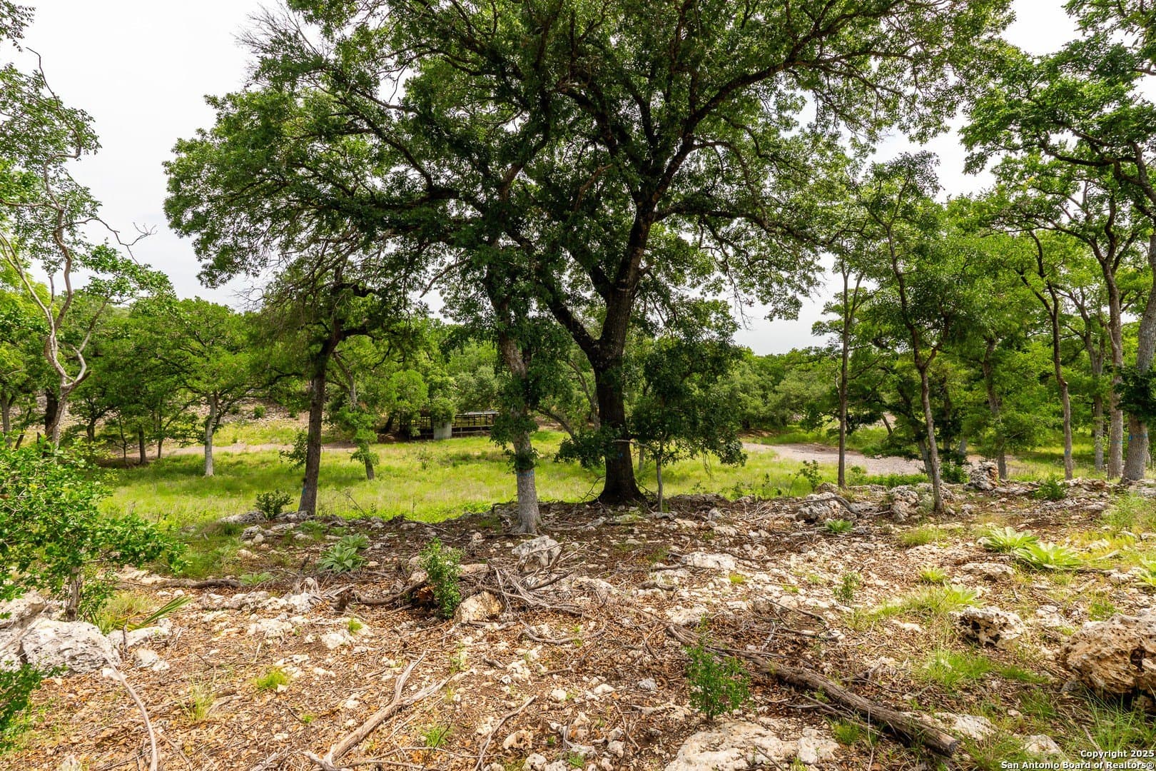1.77 acres in Kendall County - photo 3
