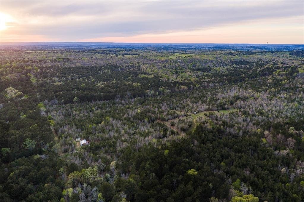 78.04 acres in Nacogdoches County - photo 2
