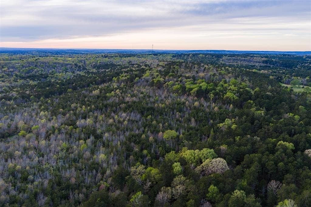 78.04 acres in Nacogdoches County - photo 4