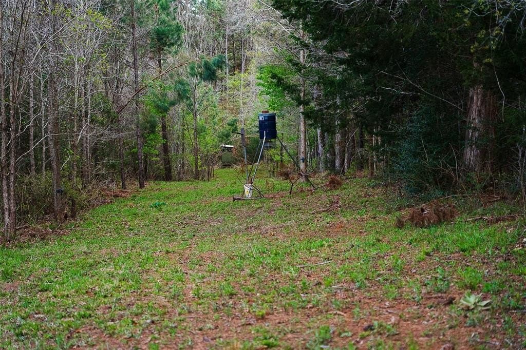 78.04 acres in Nacogdoches County - photo 29