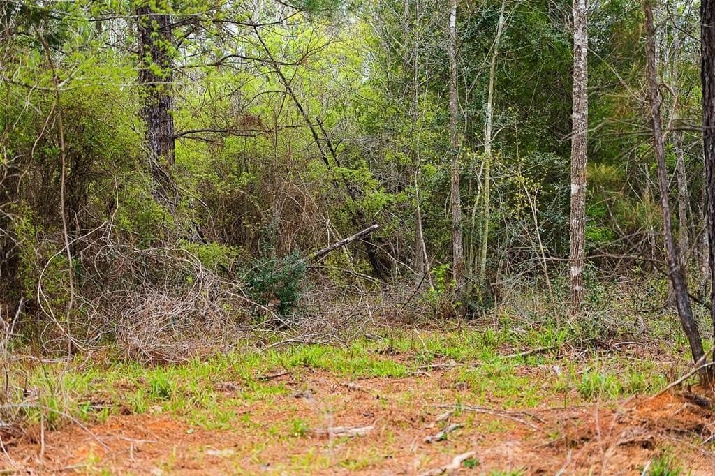 78.04 acres in Nacogdoches County - photo 27
