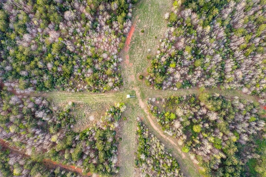 78.04 acres in Nacogdoches County - photo 6