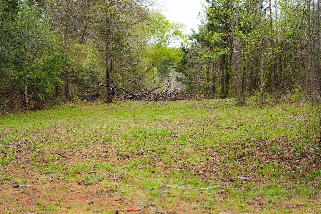 78.04 acres in Nacogdoches County - photo 23