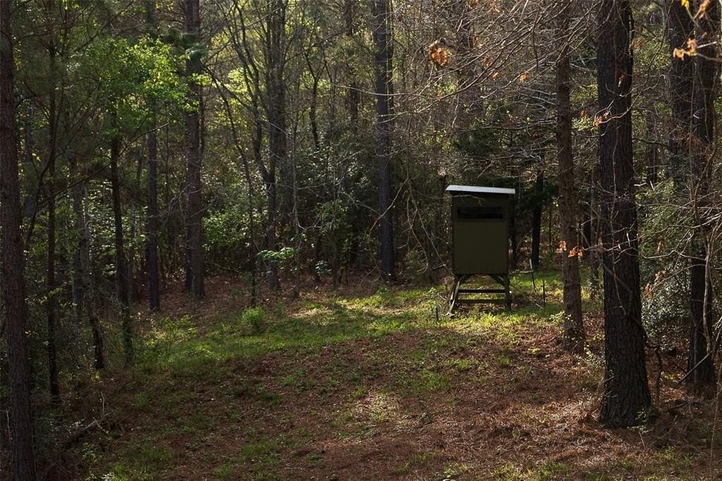 78.04 acres in Nacogdoches County - photo 36