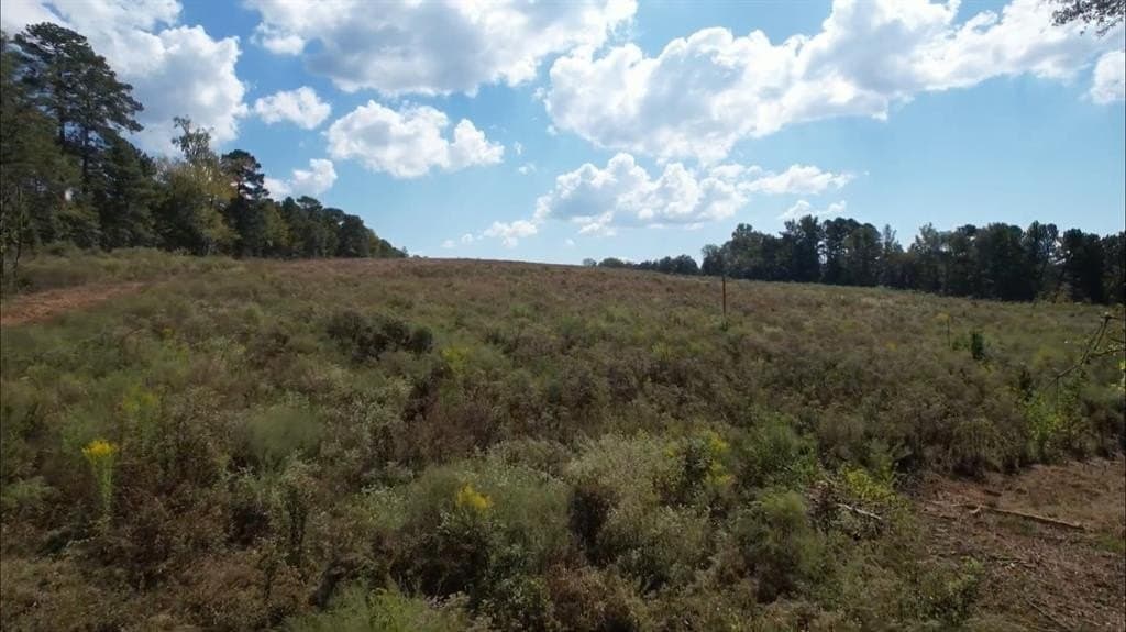 13.45 acres in Rusk County - photo 5