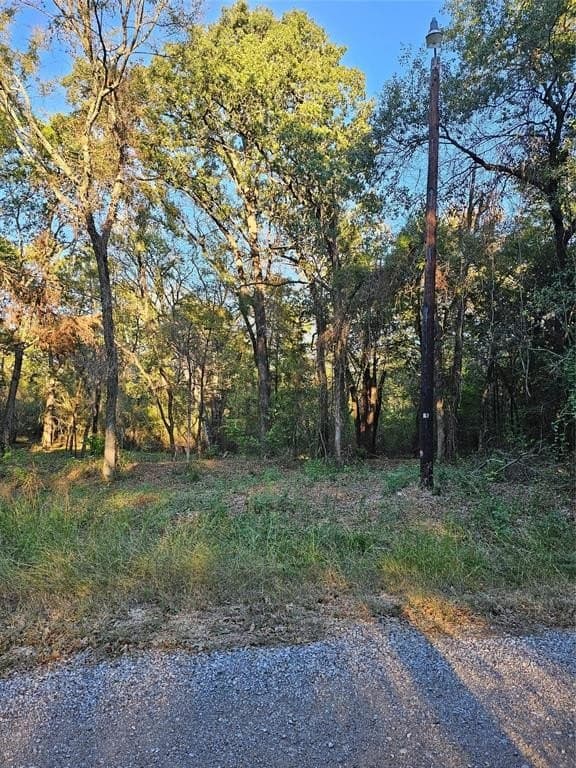 0.14 acres in Henderson County - photo 2