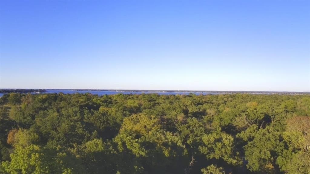 0.14 acres in Henderson County - photo 4