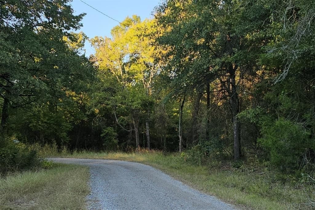 0.14 acres in Henderson County - photo 3