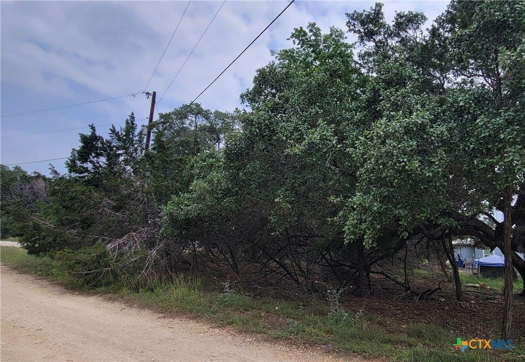 0.25 acres in Comal County - photo 2