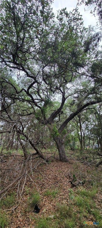 0.25 acres in Comal County - photo 3