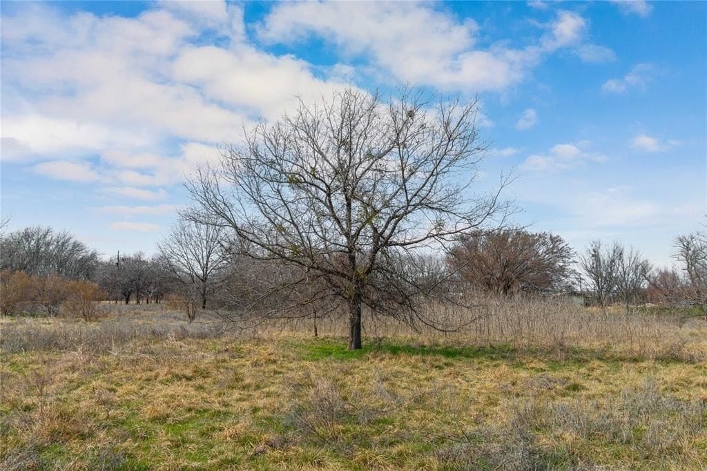 4 acres in Comanche County - photo 5