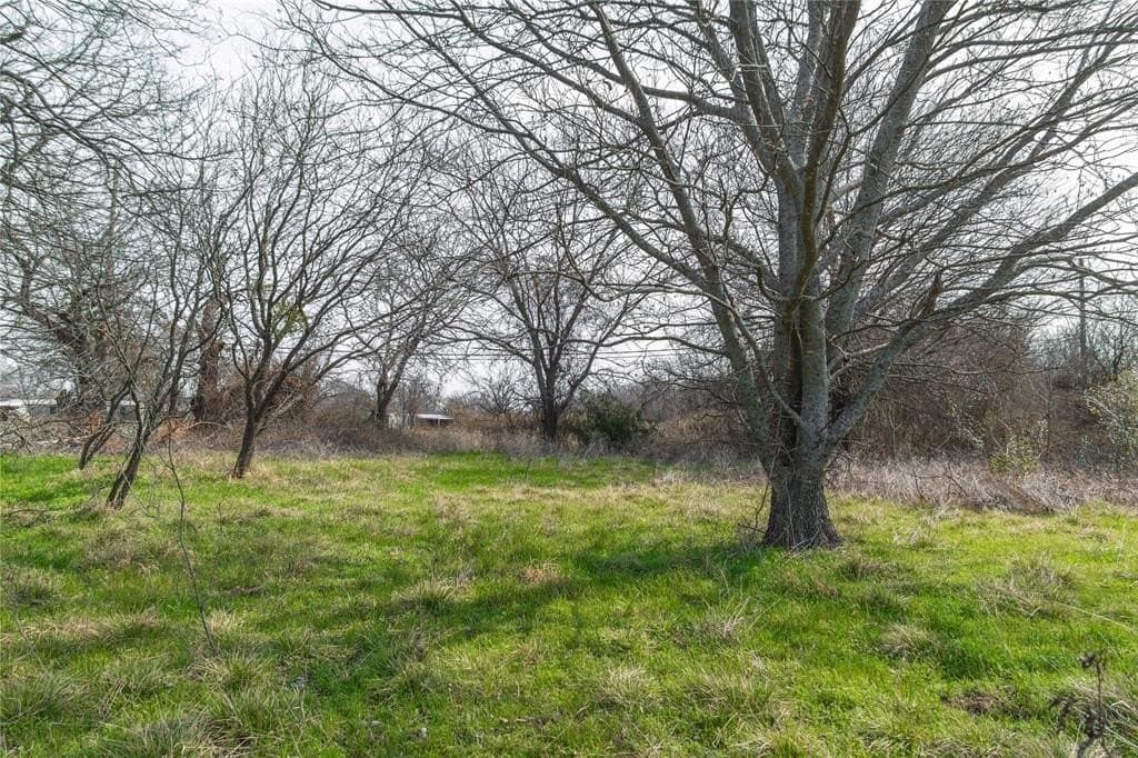 4 acres in Comanche County - photo 6