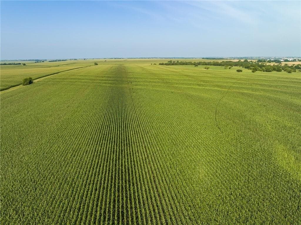 159.76 acres in McLennan County - photo 25