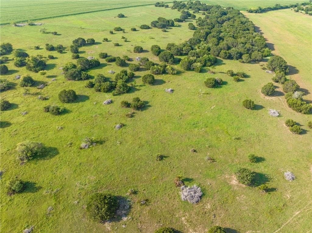 159.76 acres in McLennan County - photo 39