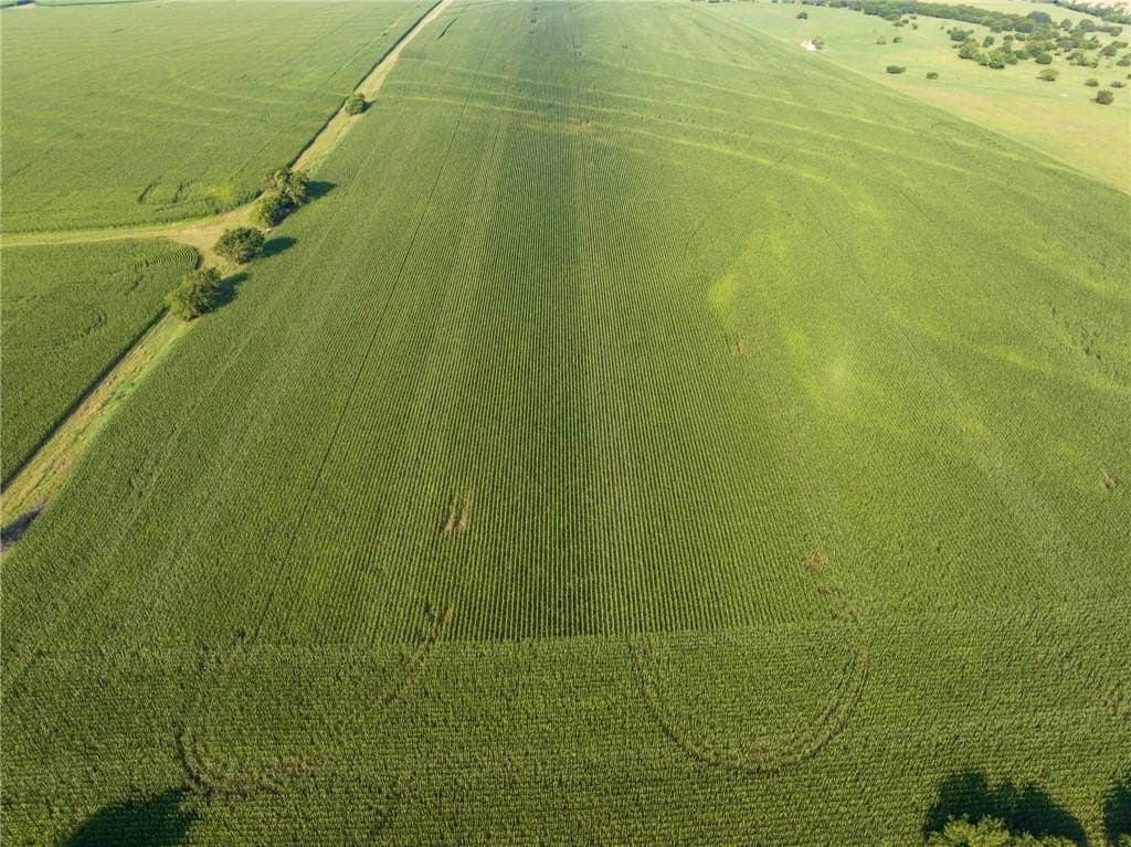 159.76 acres in McLennan County - photo 23
