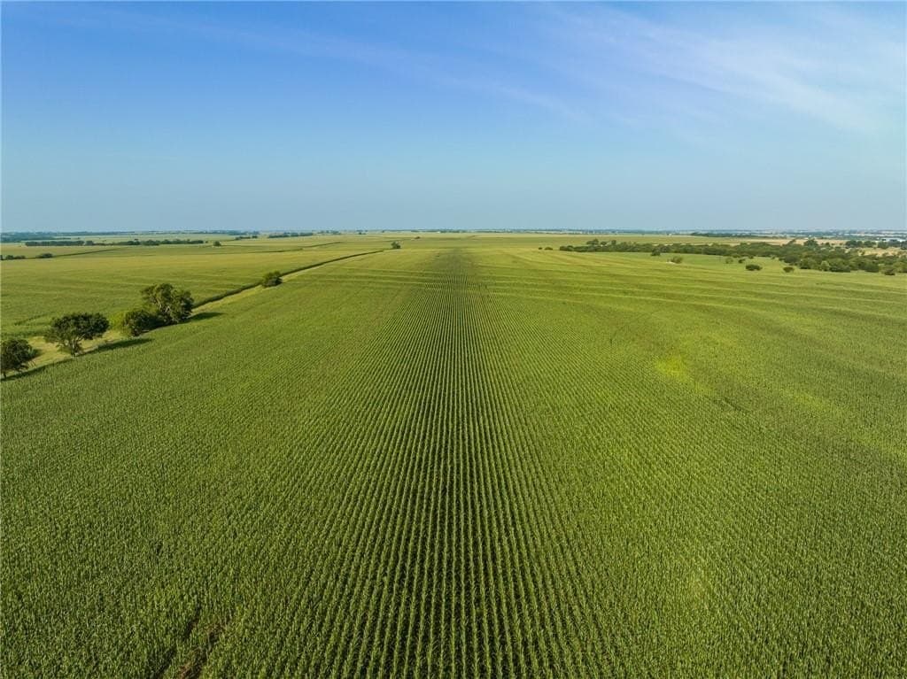 159.76 acres in McLennan County - photo 24