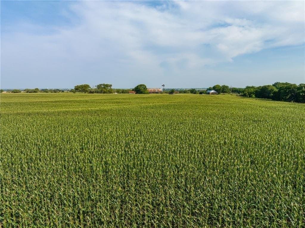 159.76 acres in McLennan County - photo 19