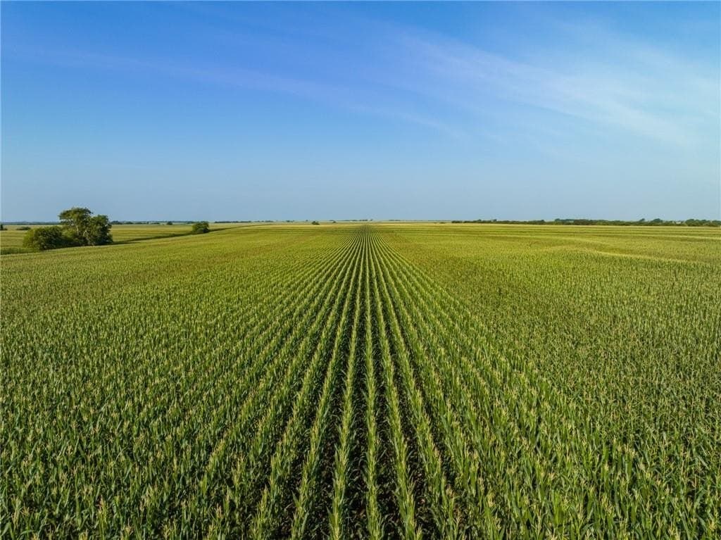 159.76 acres in McLennan County - photo 17
