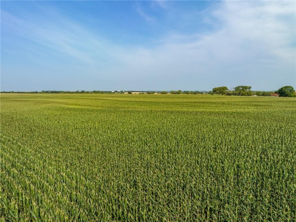 159.76 acres in McLennan County - photo 18