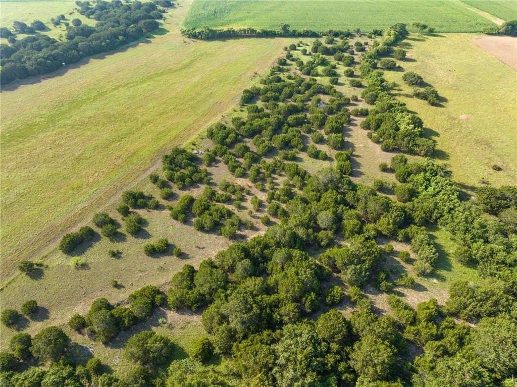 159.76 acres in McLennan County - photo 34