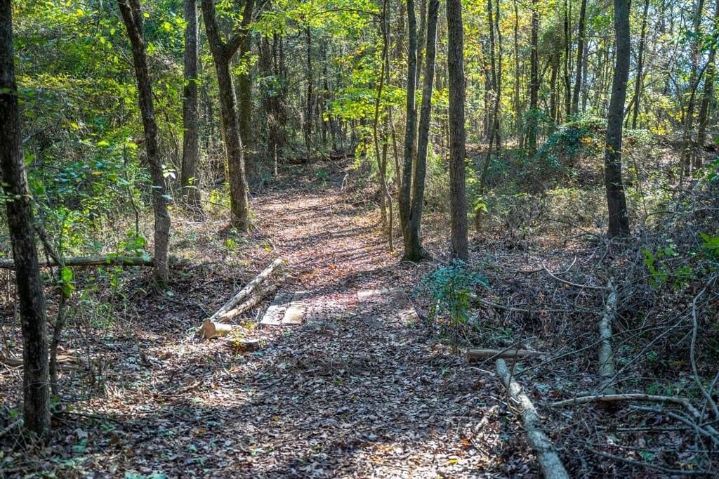 8 acres in Morris County - photo 18