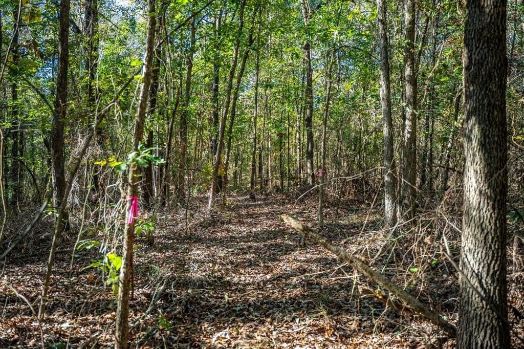 8 acres in Morris County - photo 16
