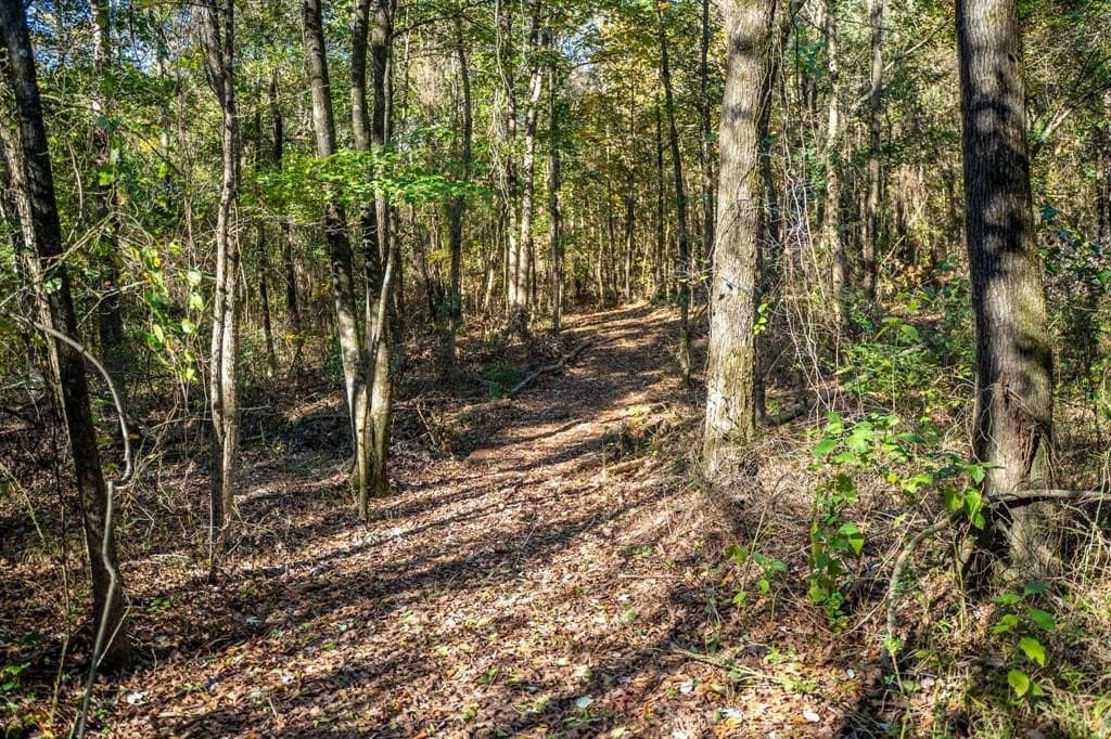 8 acres in Morris County - photo 14