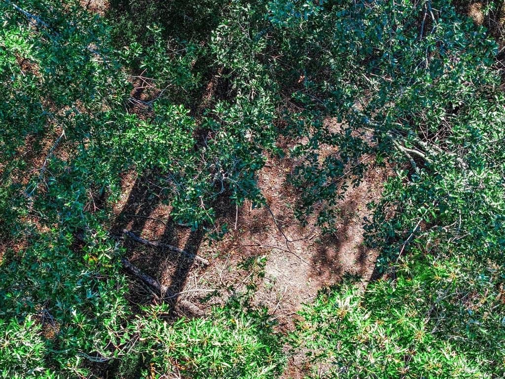 8 acres in Morris County - photo 36