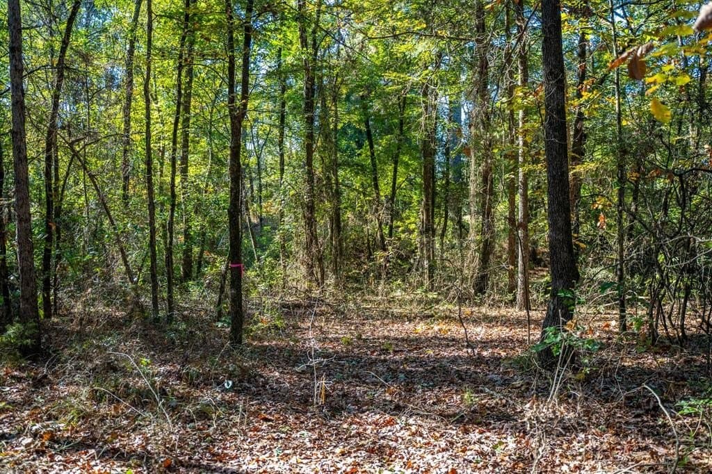 8 acres in Morris County - photo 13