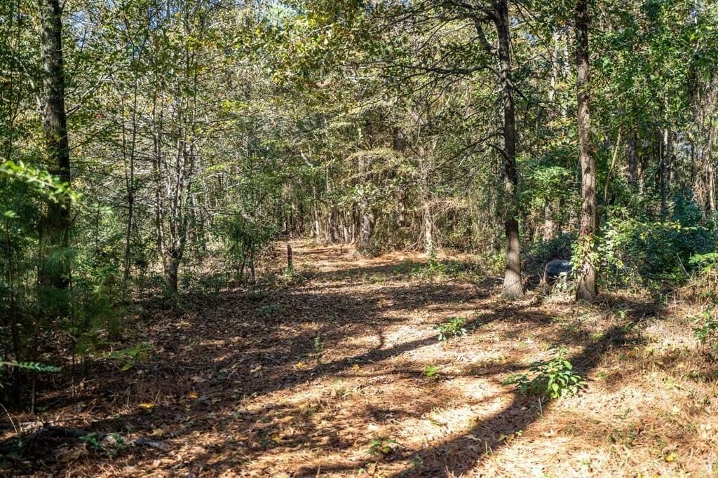 8 acres in Morris County - photo 8