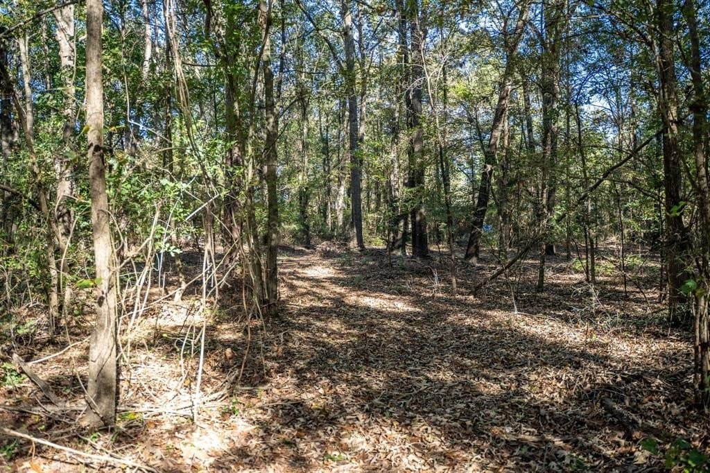 8 acres in Morris County - photo 9