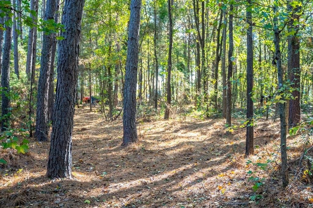 8 acres in Morris County - photo 24