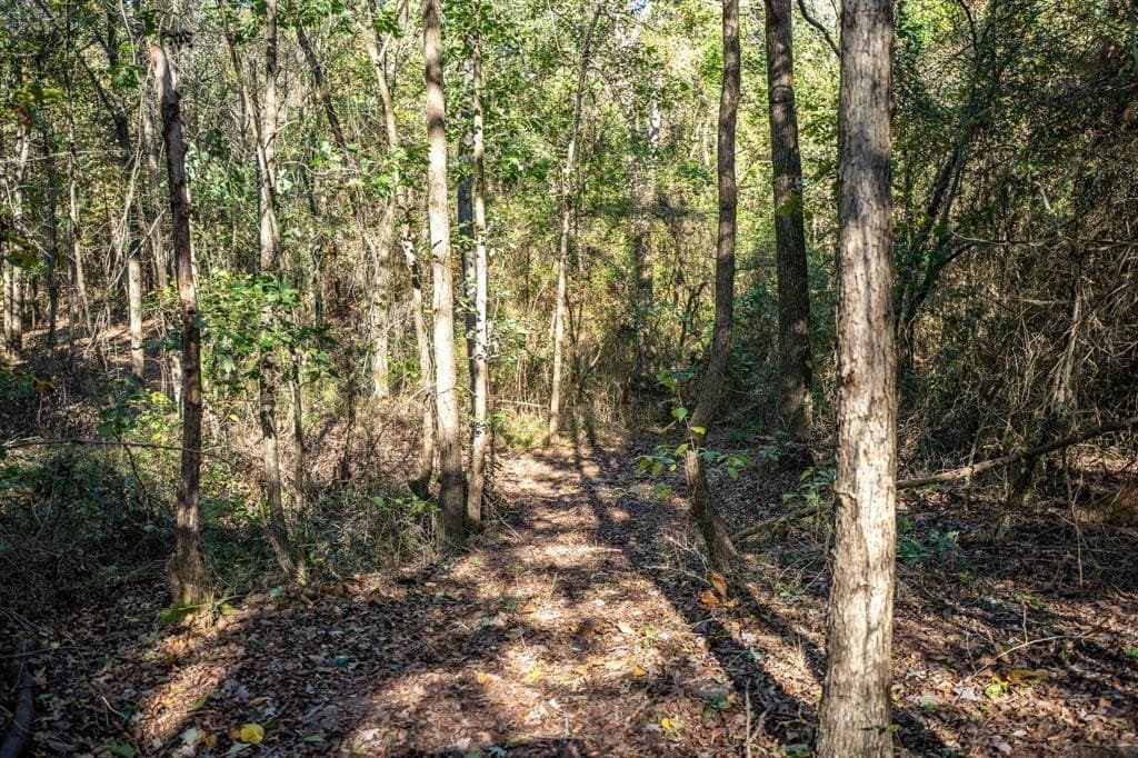 8 acres in Morris County - photo 11