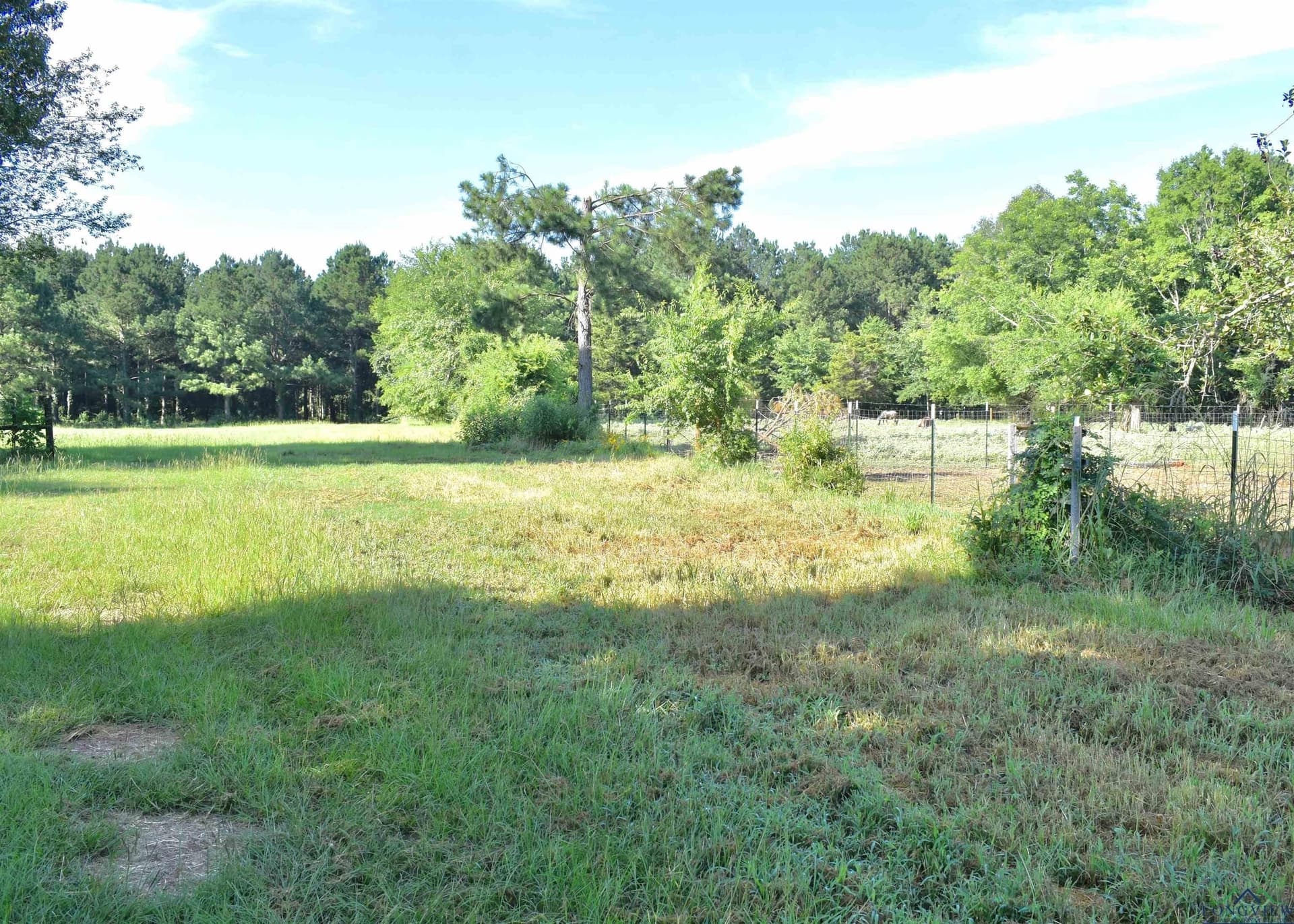 29.65 acres in Harrison County - photo 37