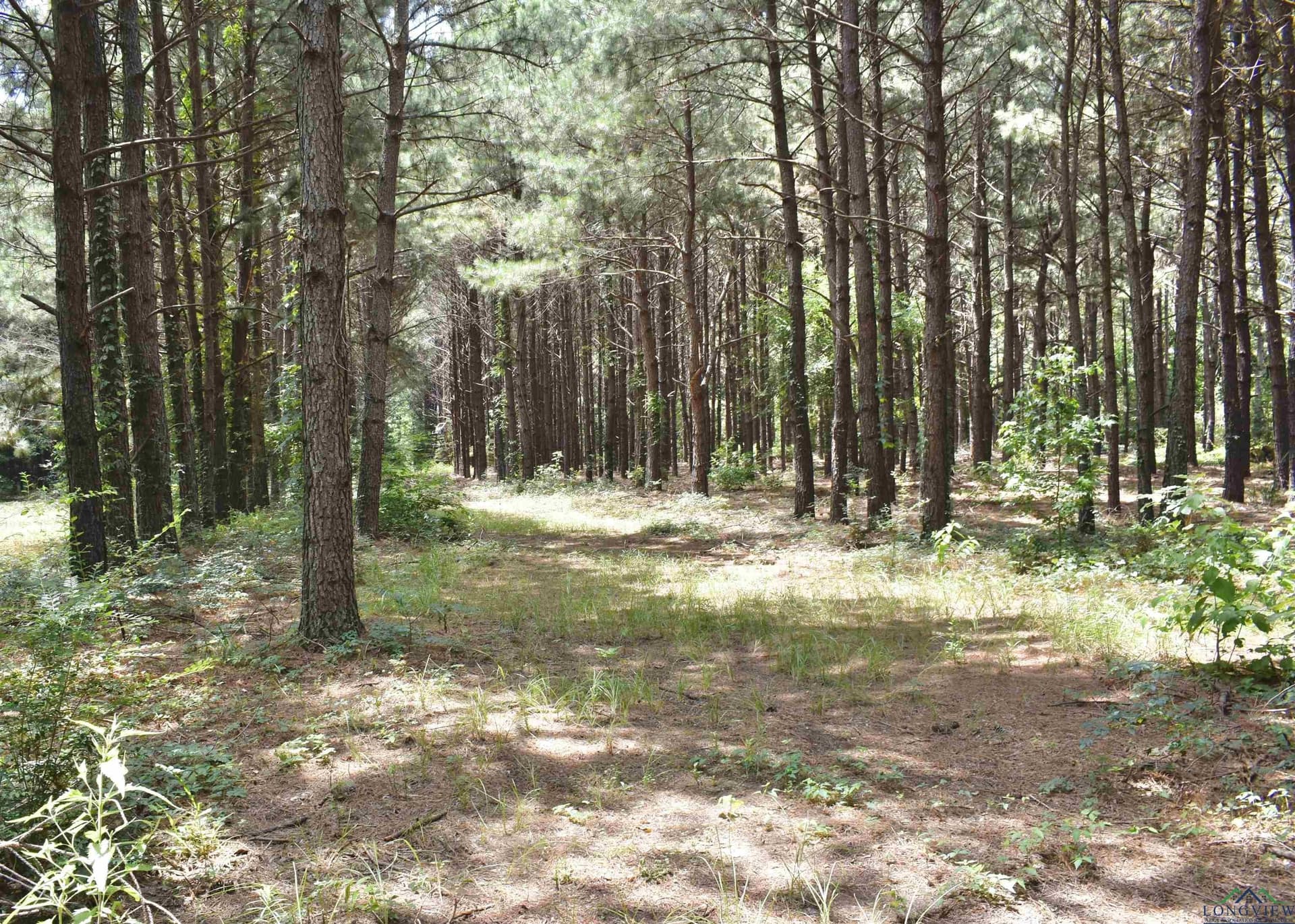 29.65 acres in Harrison County - photo 40